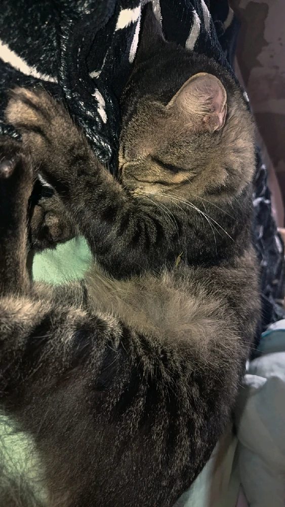 GIF uploaded by yasie