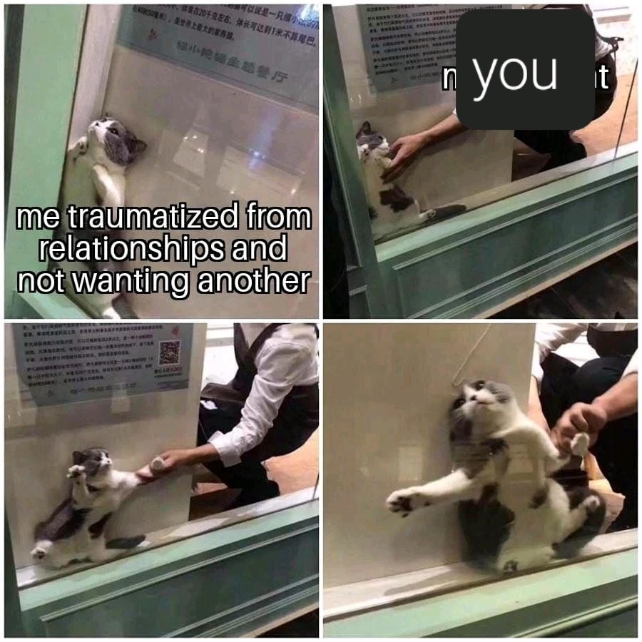 GIF uploaded by Catherine