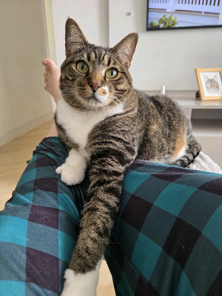 GIF uploaded by Stefani