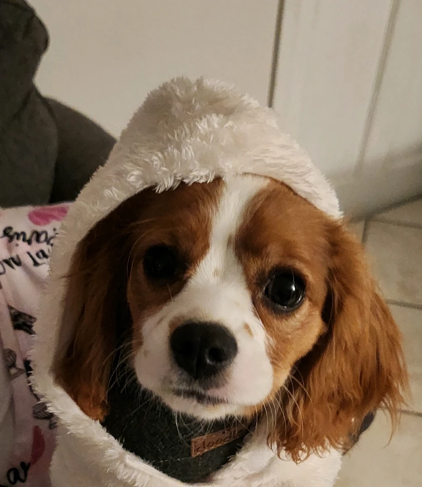 Image uploaded by Dali