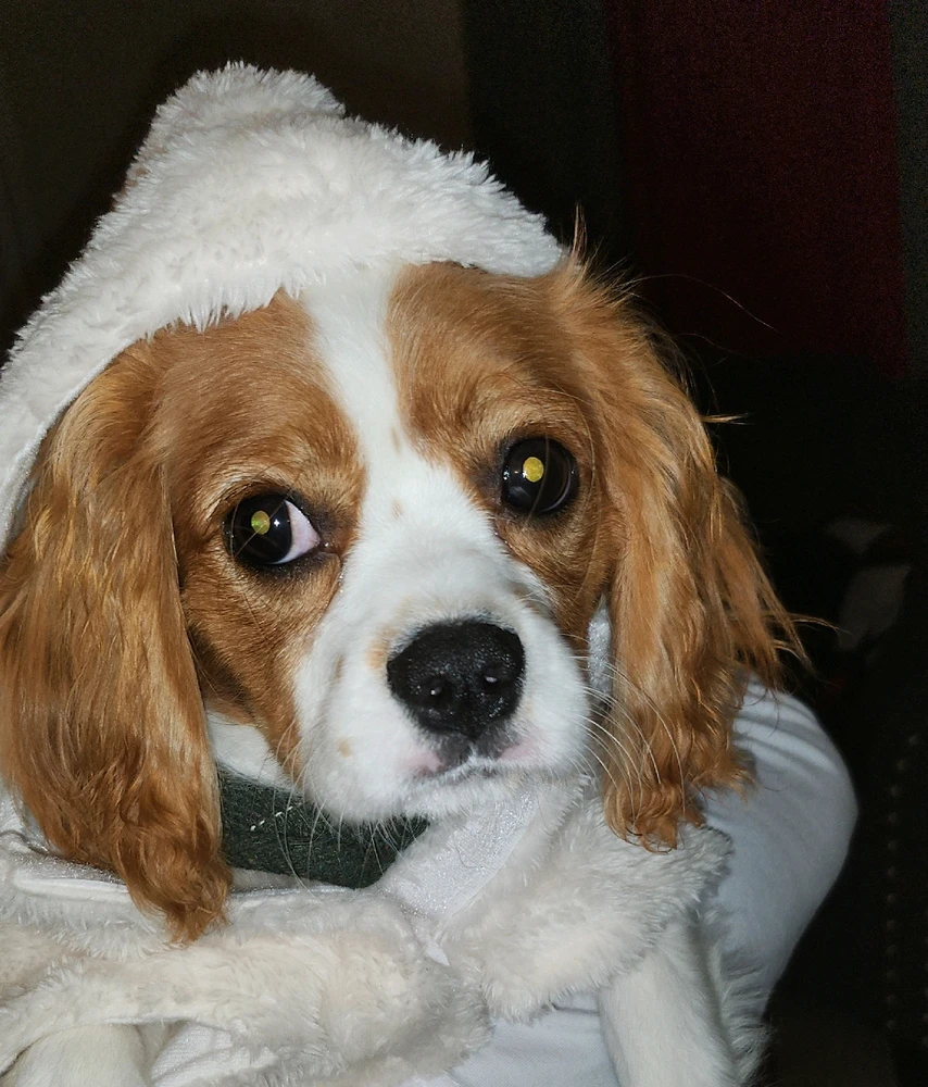 Image uploaded by Dali