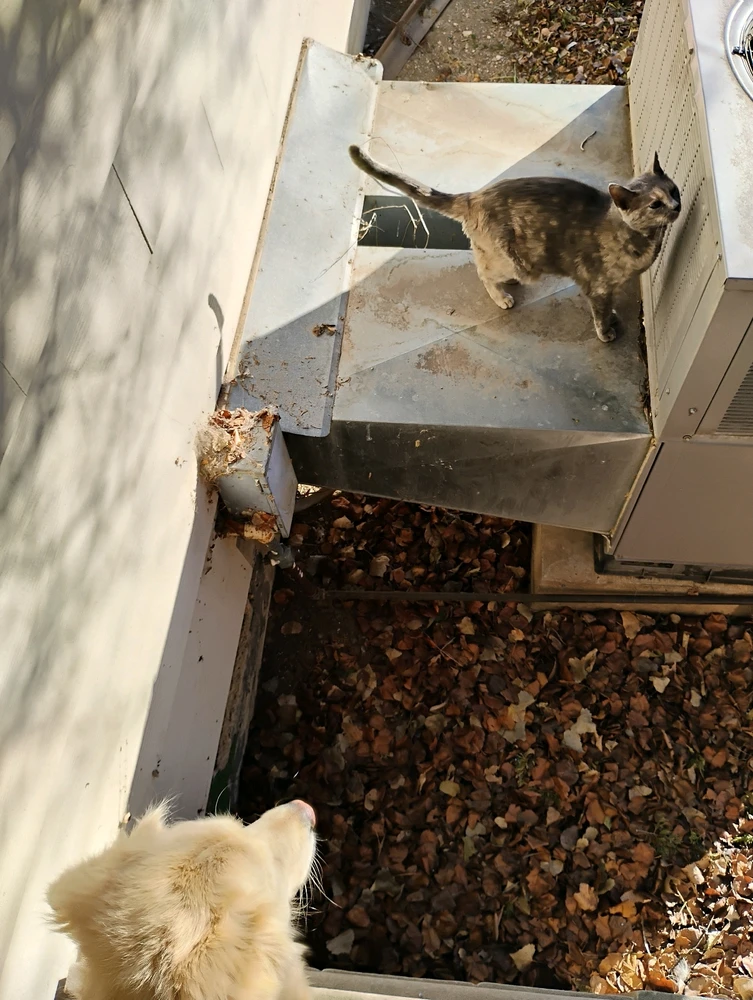 GIF uploaded by Ethan