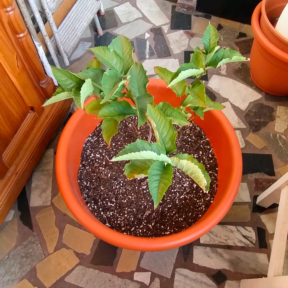 GIF uploaded by Elizabeth