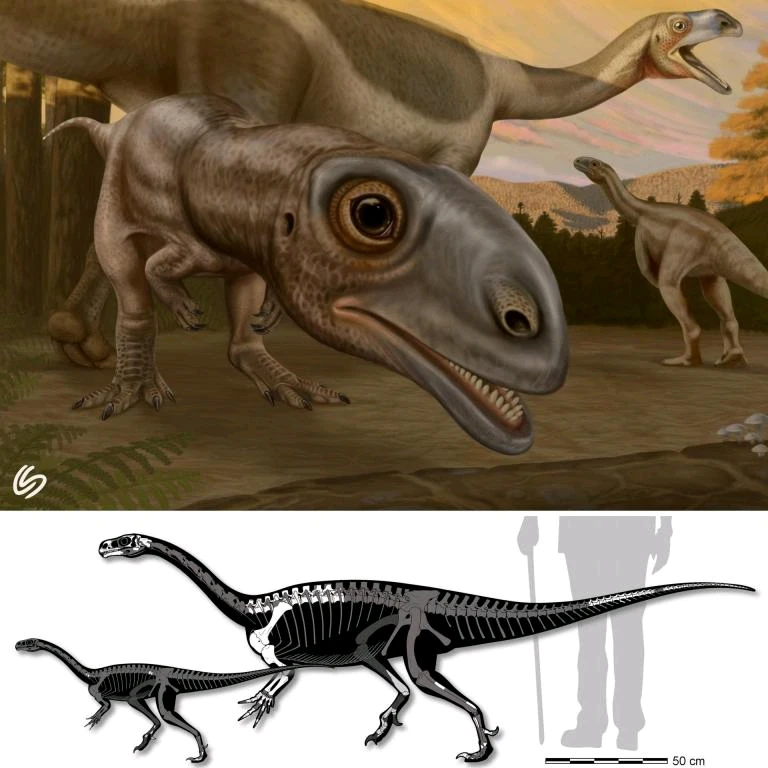 Imagem enviada por R/F