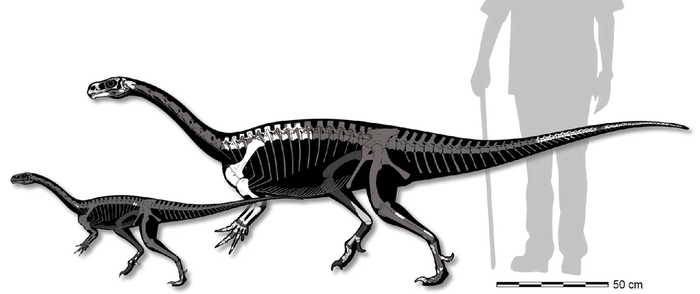 Imagem enviada por R/F