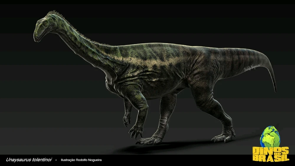 Imagem enviada por R/F