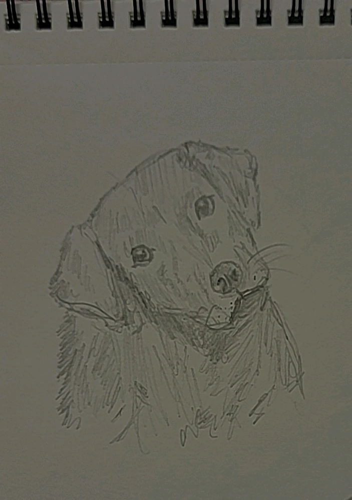 GIF uploaded by NeelX