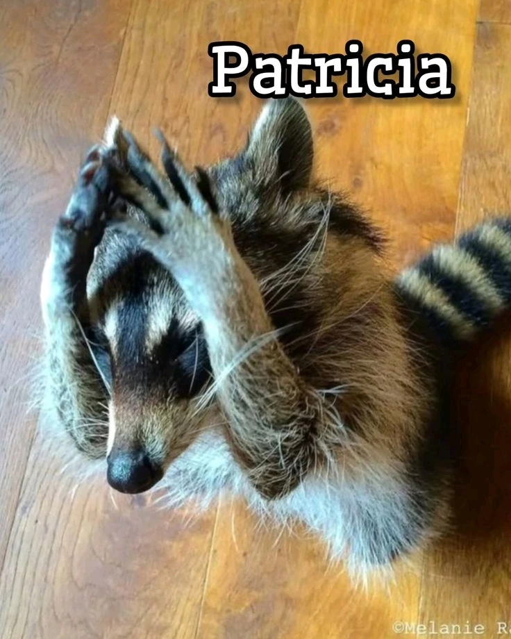 GIF enviado por Victor