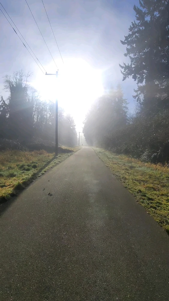 Image uploaded by Zack