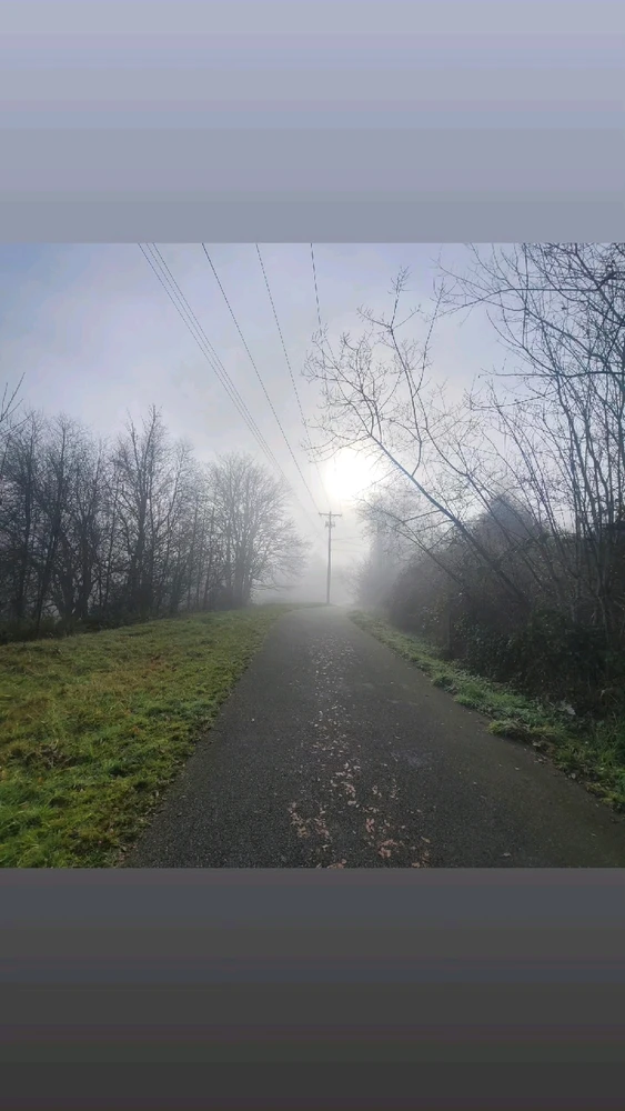 Image uploaded by Zack