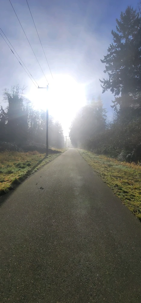 Image uploaded by Zack