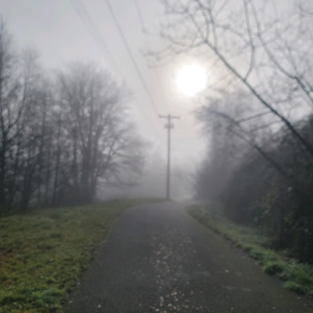 Image uploaded by Zack