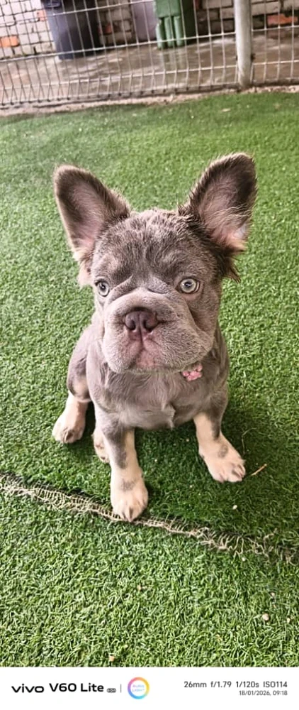 GIF uploaded by Jstar