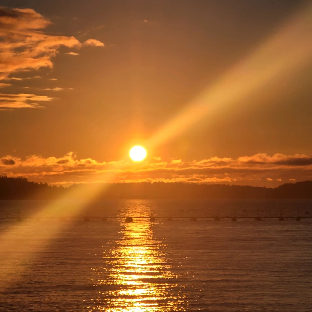 Image uploaded by Zack