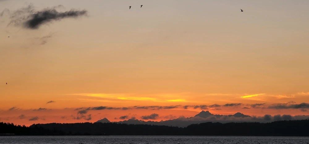 Image uploaded by Zack