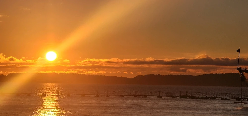 Image uploaded by Zack