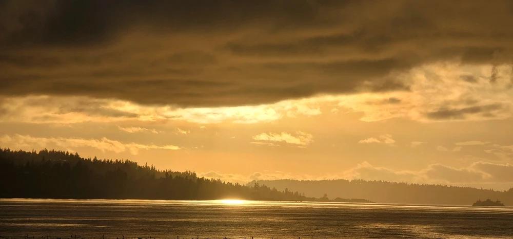 Image uploaded by Zack