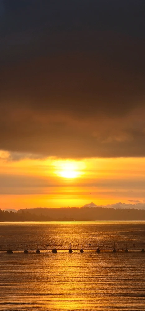 Image uploaded by Zack