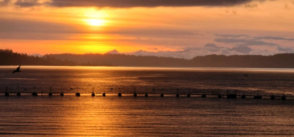 Image uploaded by Zack