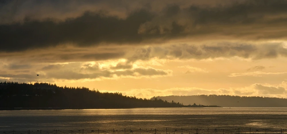 Image uploaded by Zack