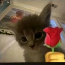 GIF subido por Iverth