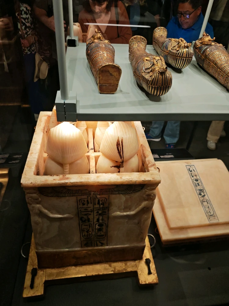 Image uploaded by Asaad Osama