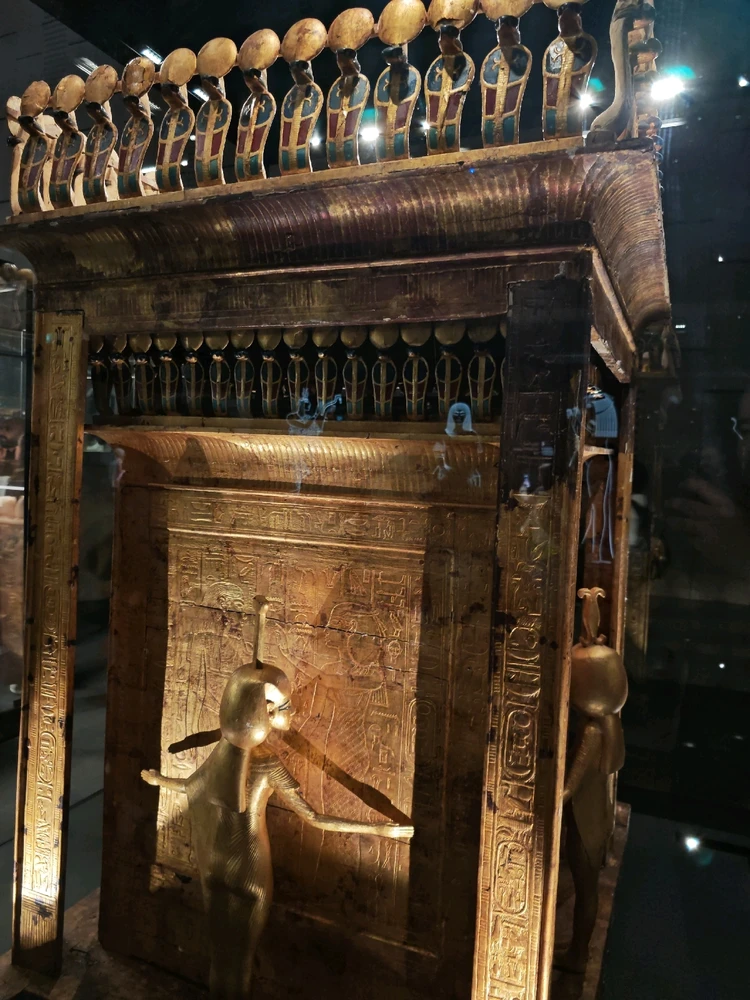 Image uploaded by Asaad Osama