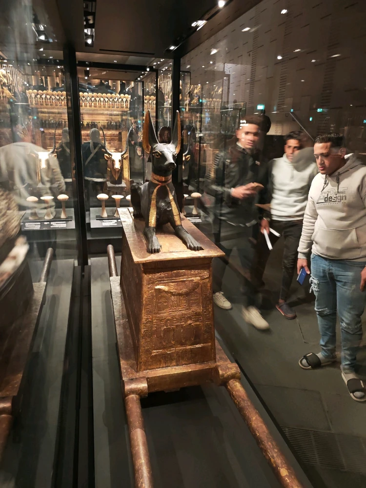 Image uploaded by Asaad Osama