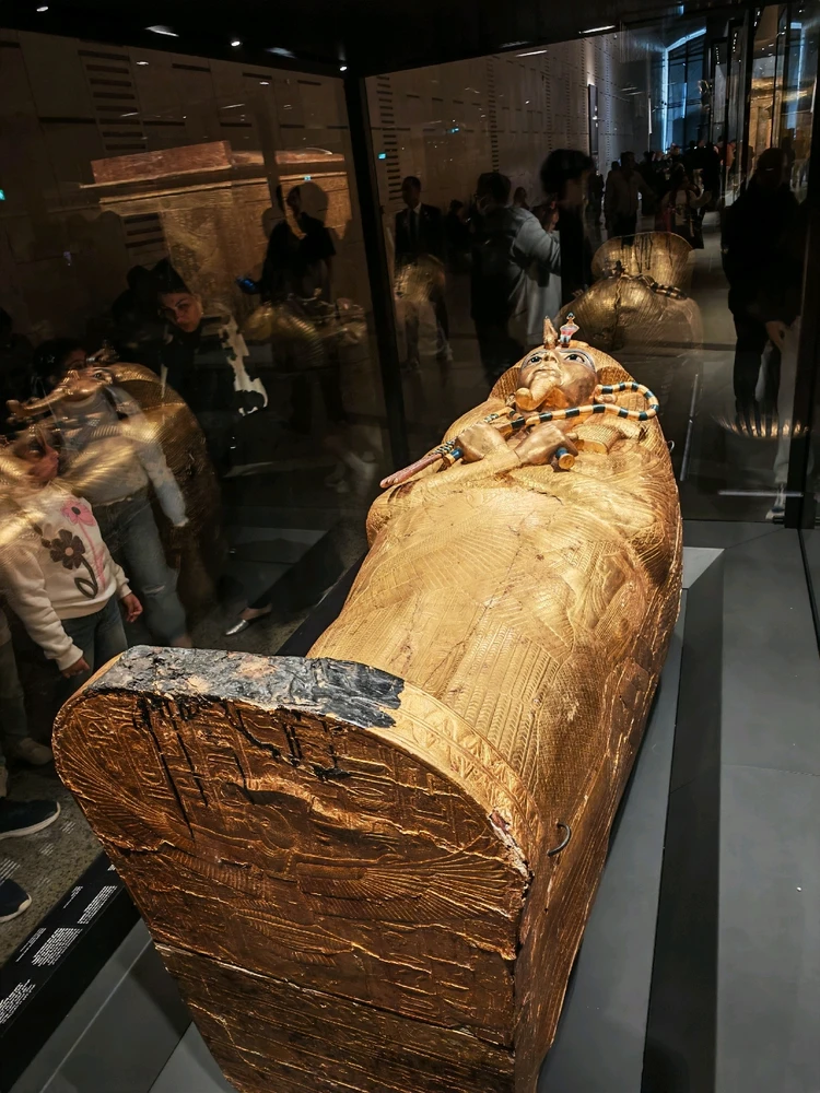 Image uploaded by Asaad Osama