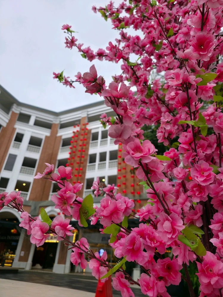 GIF uploaded by Sandra