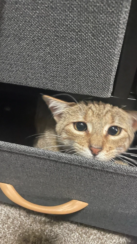 GIF uploaded by vivi