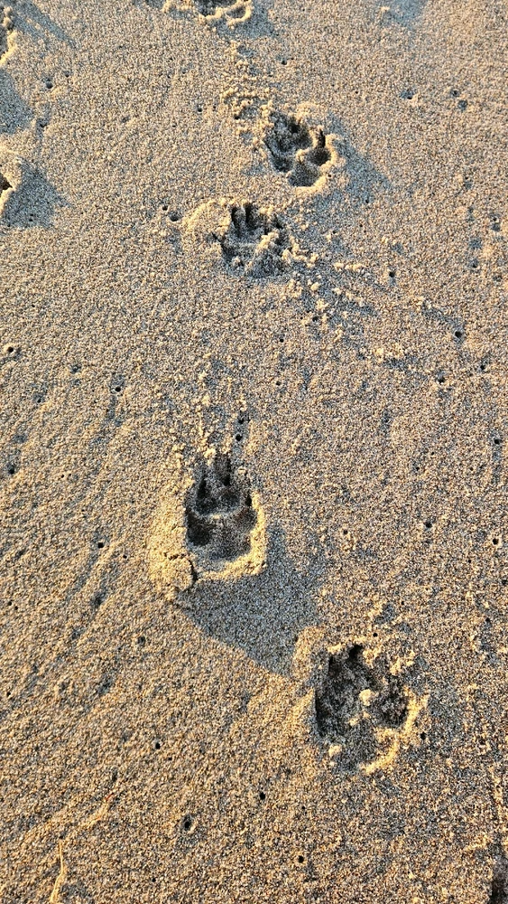 Bild hochgeladen von Axel