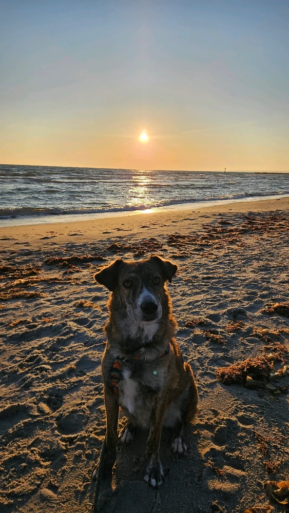 Bild hochgeladen von Axel