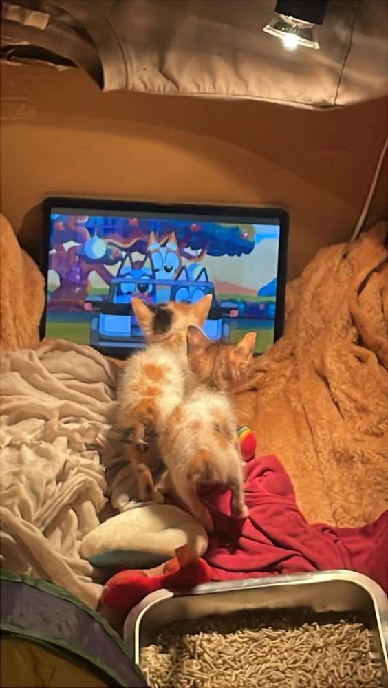 Image uploaded by granny