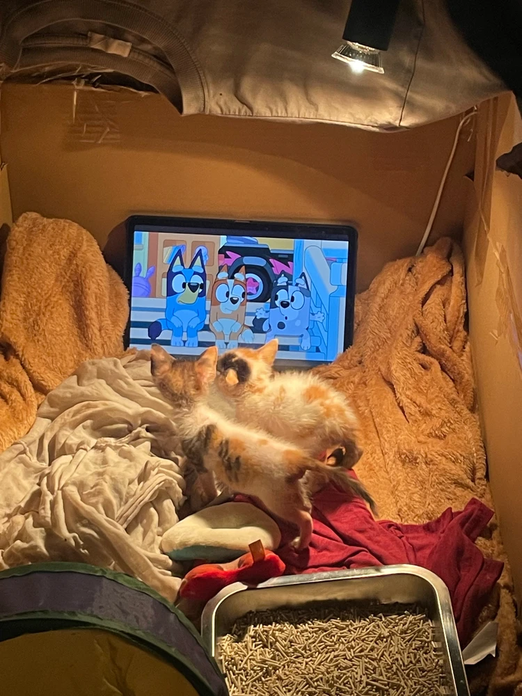 Image uploaded by granny