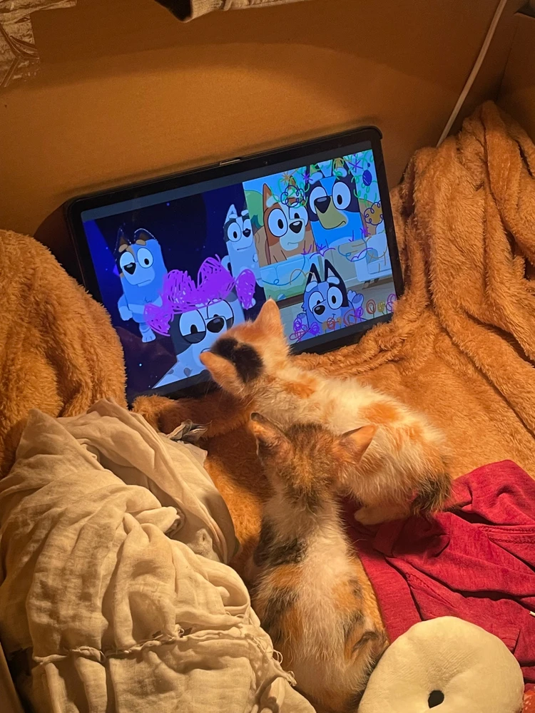 Image uploaded by granny