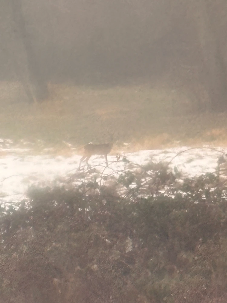 Image uploaded by 🌙✨ℳℯ𝓁𝒶𝓃𝒾𝓆𝓊ℯ✨🌙