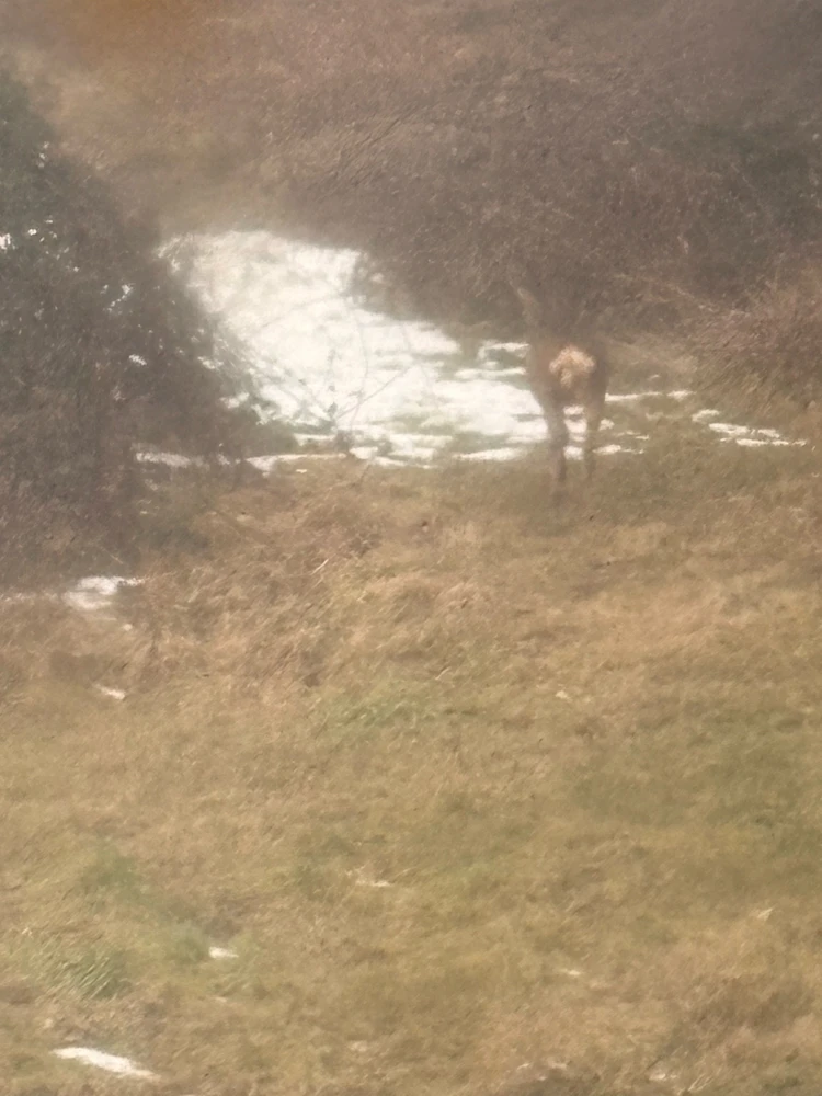 Image uploaded by 🌙✨ℳℯ𝓁𝒶𝓃𝒾𝓆𝓊ℯ✨🌙