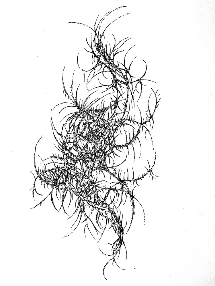 GIF uploaded by Bisma