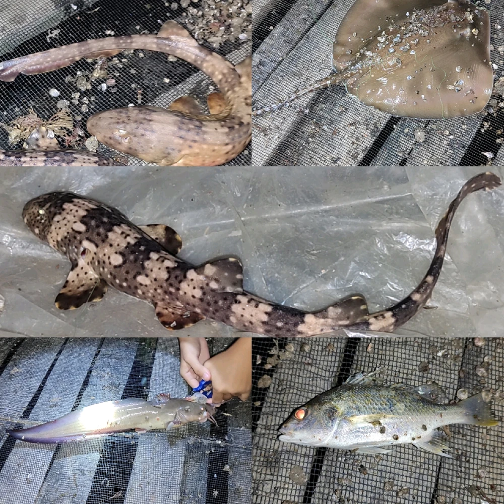 GIF uploaded by Elisa