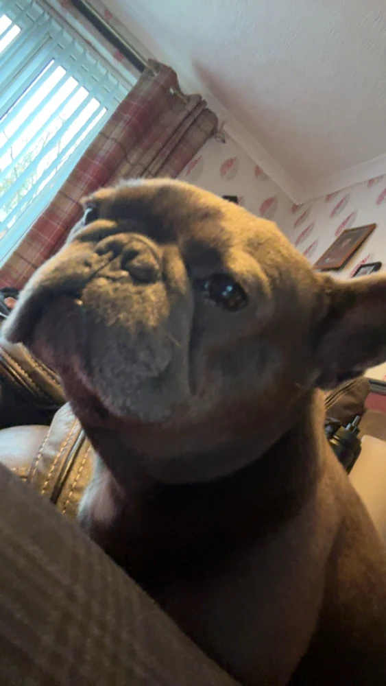 Image uploaded by Josh