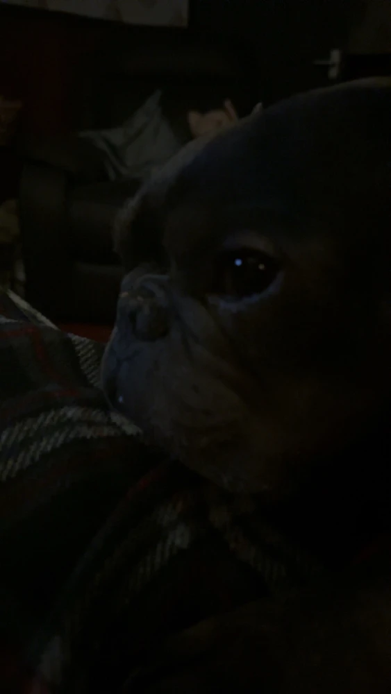 Image uploaded by Josh