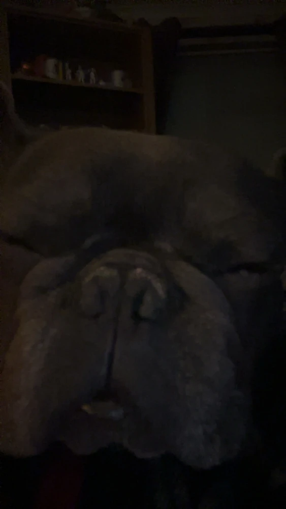 Image uploaded by Josh