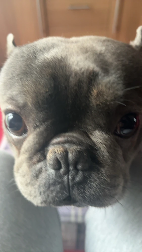 Image uploaded by Josh