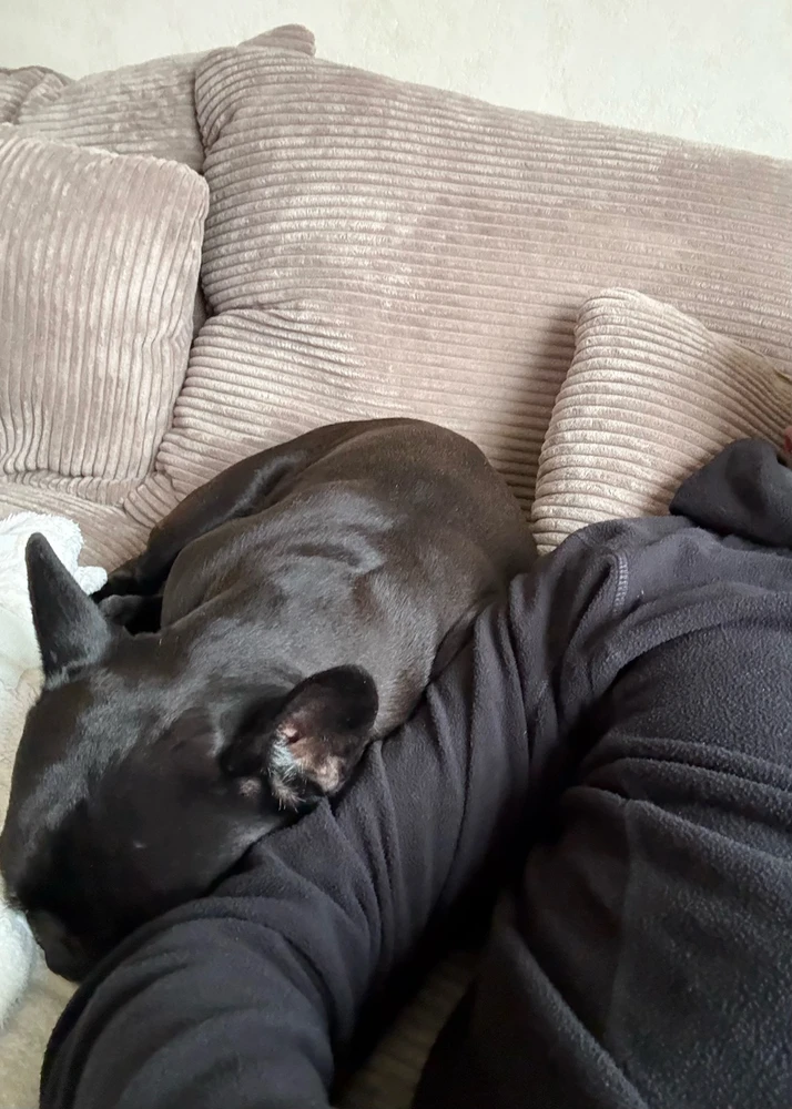 GIF hochgeladen von Sascha