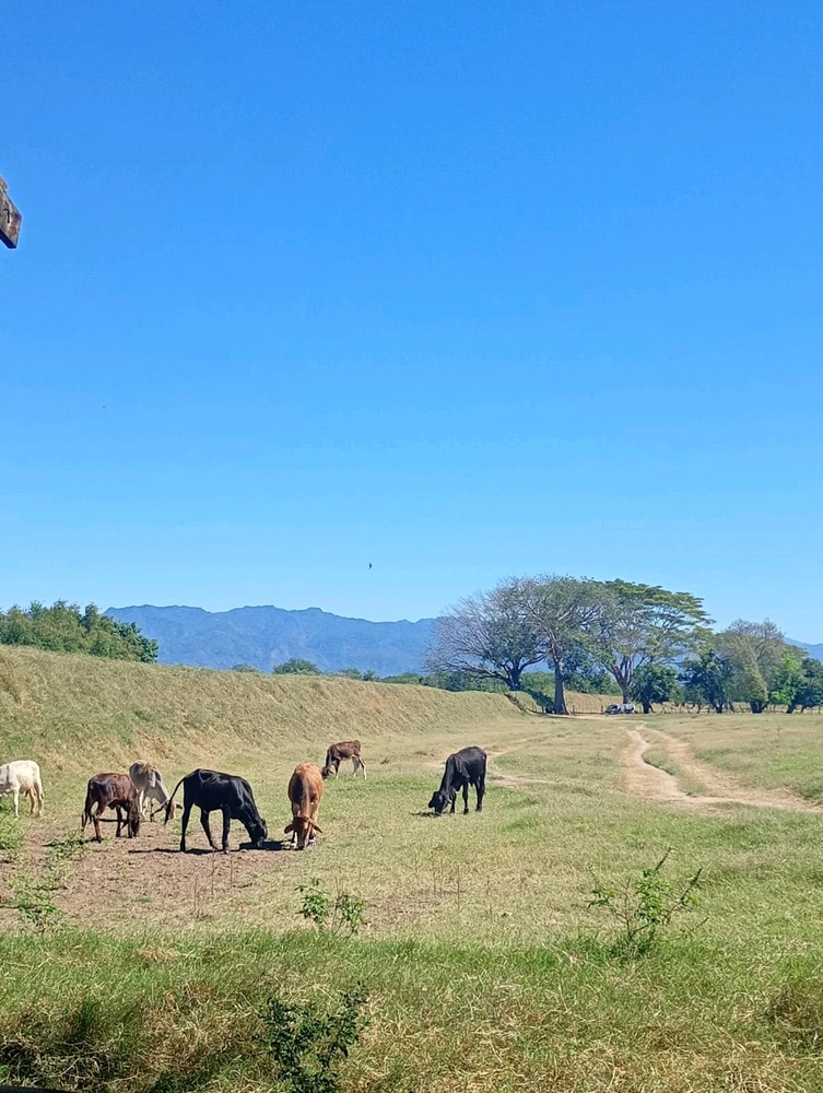 Imagen subida por Henry Rodas