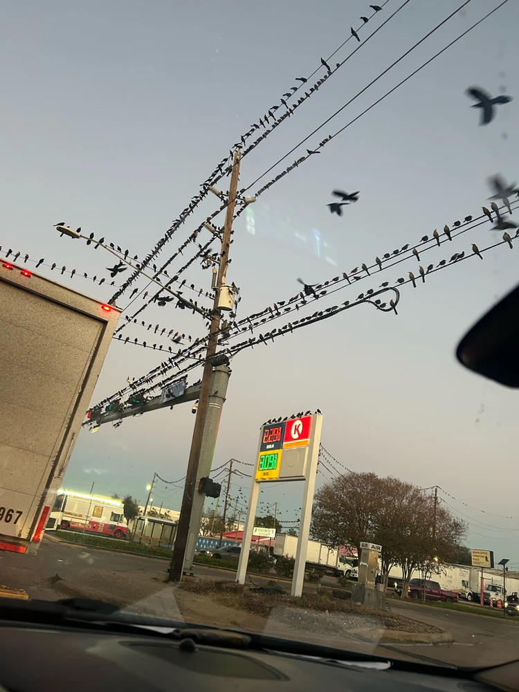 GIF uploaded by Alfonzo