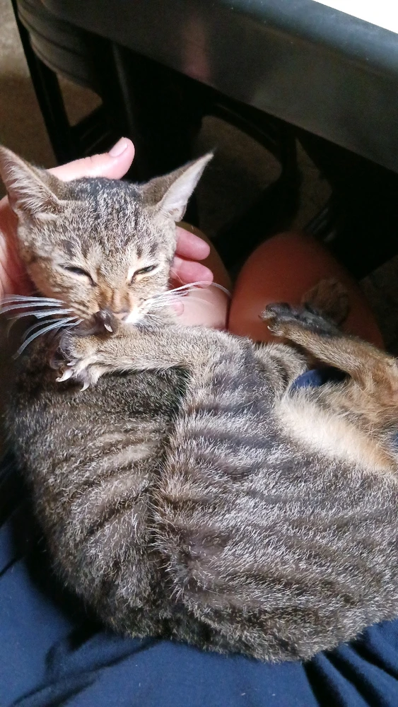 GIF uploaded by Lynn