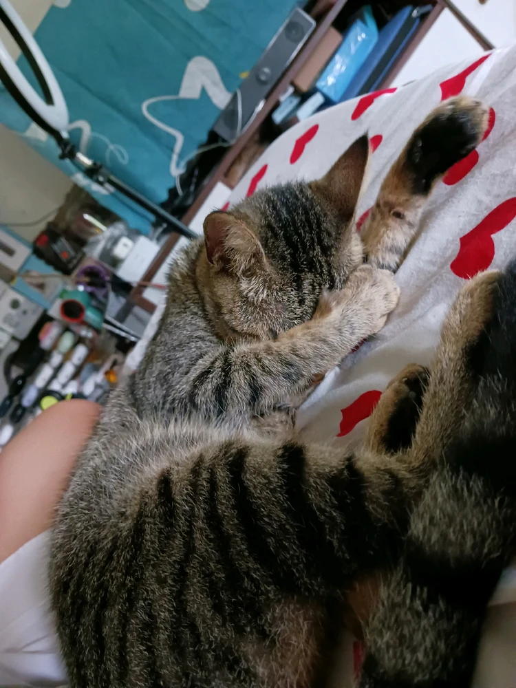 GIF uploaded by Lynn