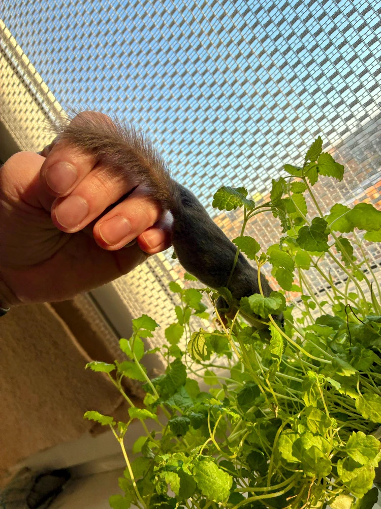 Obrázek nahrál Jan